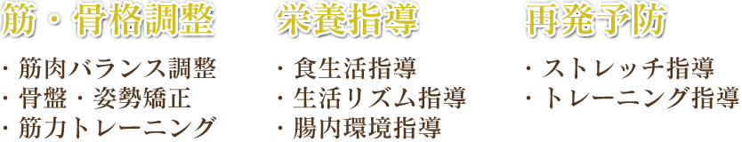 筋・骨格強制、栄養指導、再発予防